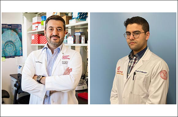 CMU-Q Researchers Publish first Comprehensive Review of Minor Intron Splicing