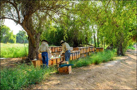 Mandarin Oriental, Doha Marks World Bee Day
