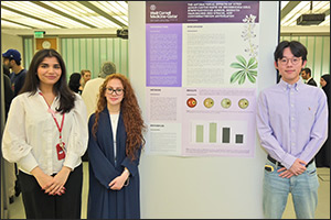 WCM-Q students present research projects at annual poster event